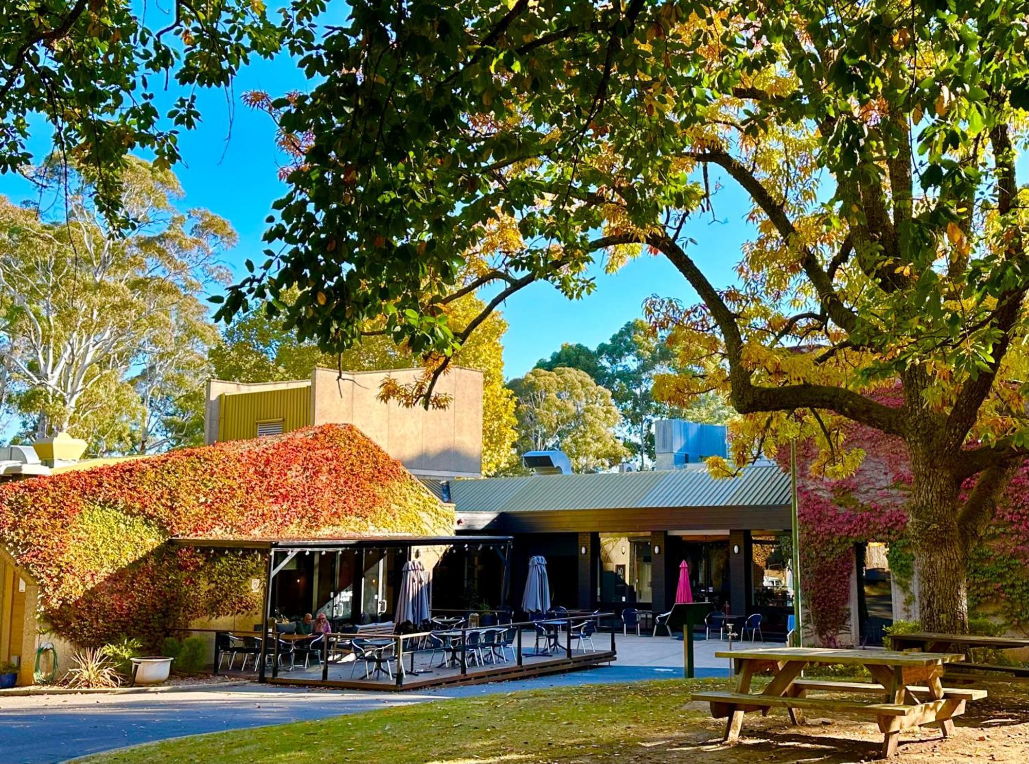 The Grand Oaks Resort Бичворт Экстерьер фото